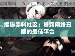 黑料爆料 co62m：揭秘不为人知的秘密