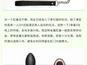 推荐的产品介绍为：1069 男同 Gay 做受 Gay 情趣玩具