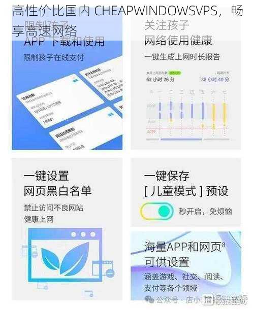 高性价比国内 CHEAPWINDOWSVPS，畅享高速网络