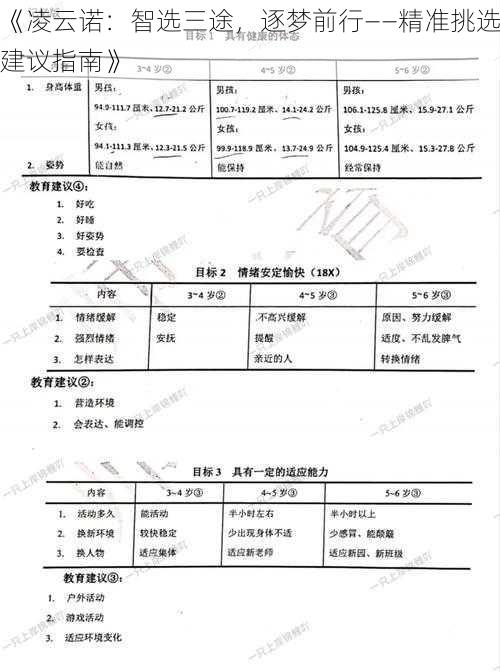 《凌云诺：智选三途，逐梦前行——精准挑选建议指南》