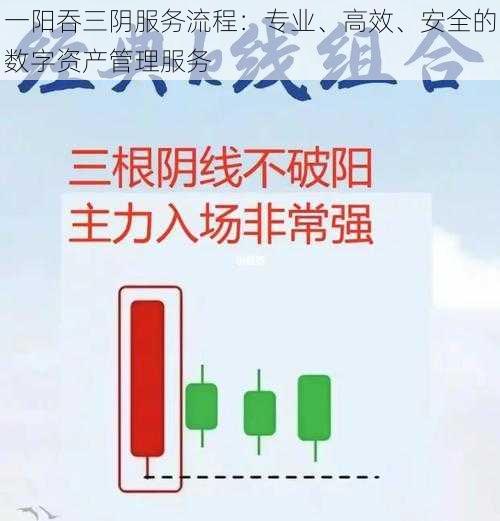 一阳吞三阴服务流程：专业、高效、安全的数字资产管理服务