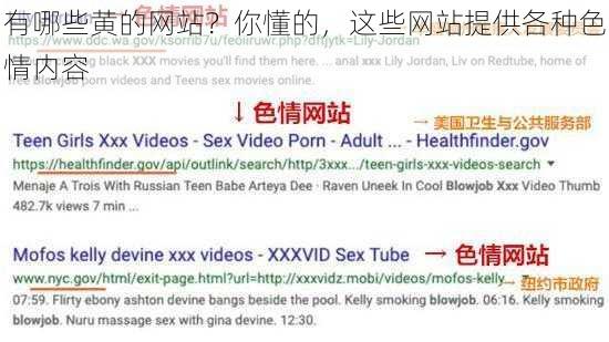 有哪些黄的网站？你懂的，这些网站提供各种色情内容