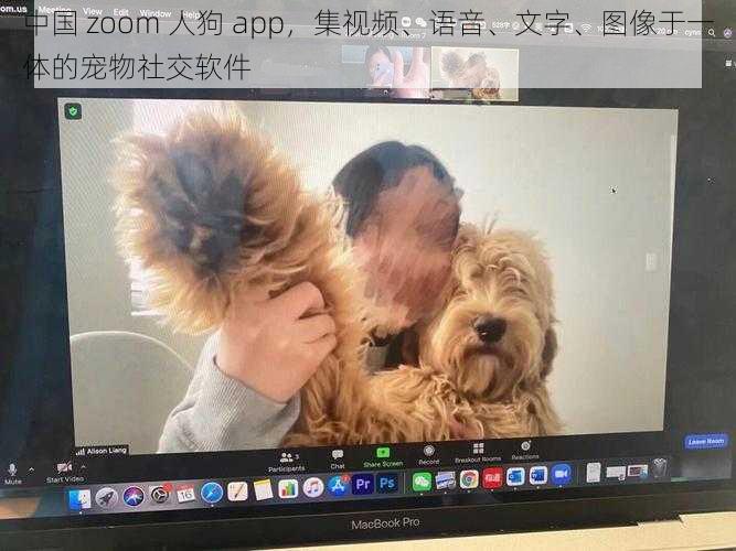 中国 zoom 人狗 app，集视频、语音、文字、图像于一体的宠物社交软件