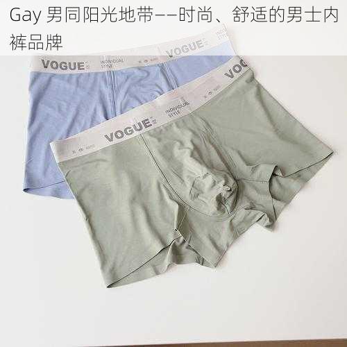 Gay 男同阳光地带——时尚、舒适的男士内裤品牌