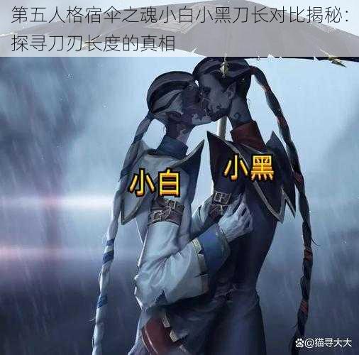 第五人格宿伞之魂小白小黑刀长对比揭秘：探寻刀刃长度的真相