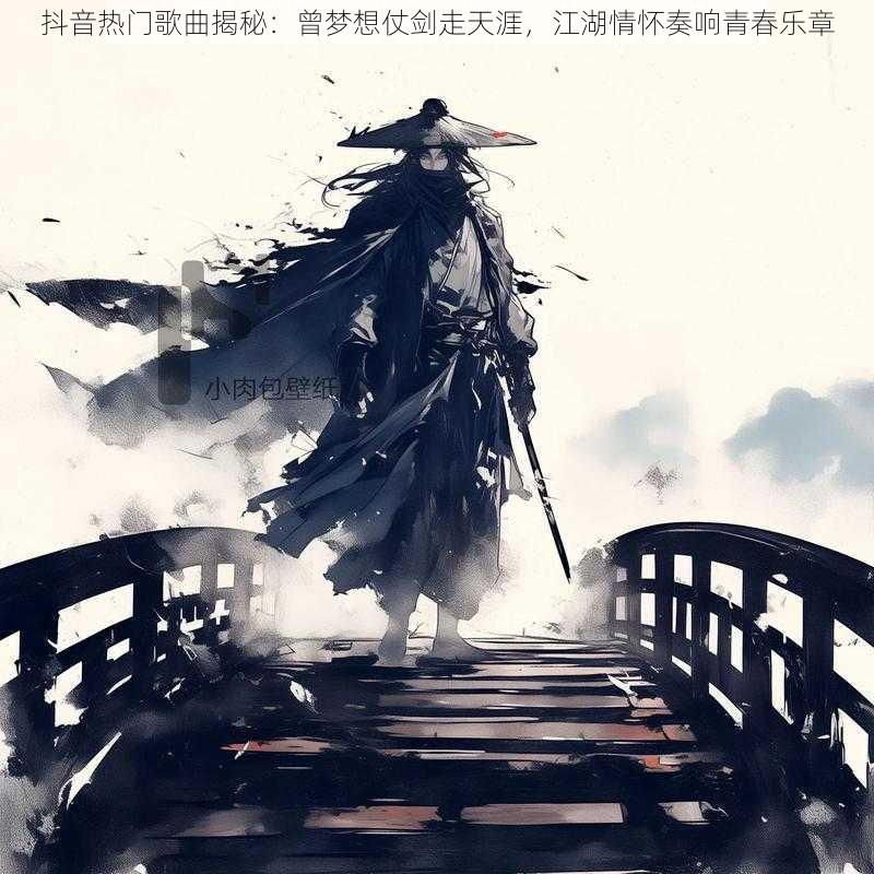 抖音热门歌曲揭秘：曾梦想仗剑走天涯，江湖情怀奏响青春乐章