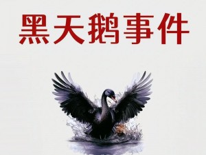 关于黑天鹅港孤儿院负责人的身份揭秘：深挖背后故事的新篇章