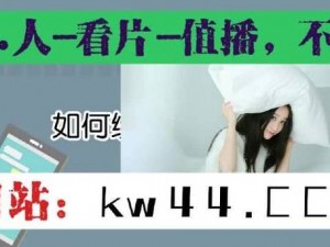 日本高清 mv 免费播放网站，你懂得