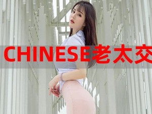 热门高清播放：CHINESEGAYTUBEXXXXVIDO 精彩内容持续不断