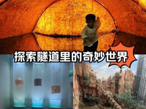 星际探险家揭秘：珍贵矿石图谱指南——星球开采时代的宝藏探索之旅