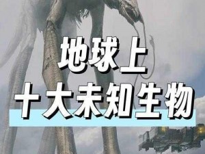 17c入口—17c 入口：探索未知世界的神奇之地