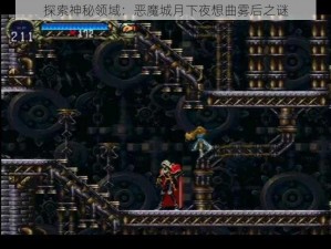 探索神秘领域：恶魔城月下夜想曲雾后之谜