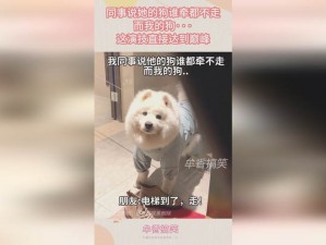 仙踪 cosmetology 大陆剧集更新：美丽魔法，焕发新生