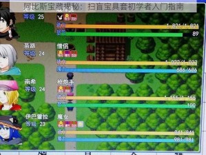 阿比斯宝藏揭秘：扫盲宝具套初学者入门指南