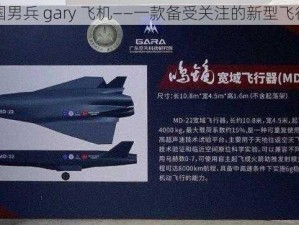 中国男兵 gary 飞机——一款备受关注的新型飞行器