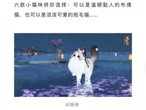 逆水寒手游纳猫之契二游历任务攻略大全：解锁猫缘之旅的秘诀与技巧