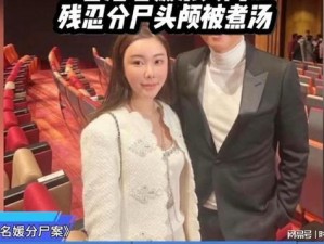 孙美琪疑案：故事工地惊悚分尸案揭秘——真相探寻与攻略指南