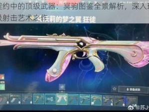 无畏契约中的顶级武器：冥驹图鉴全景解析，深入理解这把顶级射击艺术之作