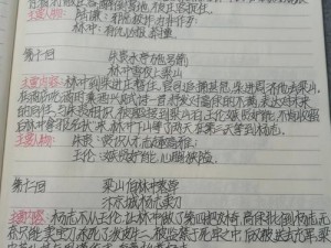 《水浒梗传攻略：第七关冲上梁山通关全解析》