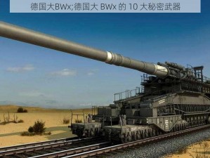 德国大BWx;德国大 BWx 的 10 大秘密武器