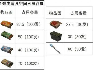 孤岛先锋攻击型道具全面解析：揭示攻击道具种类大全及独特属性特征