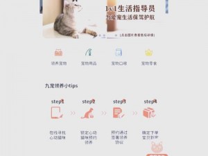 红猫大本猫营 211hm，高品质智能家居产品领导者