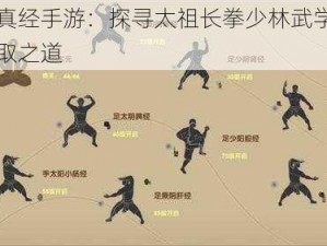 九阴真经手游：探寻太祖长拳少林武学秘籍的获取之道