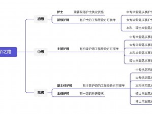 主任招聘护士面试体检故事：揭秘白衣天使的选拔之路