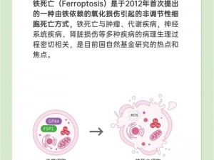 死亡细胞挠挠功效揭秘：探究其真正作用与意义