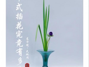 夜里无事，插花弄玉寓意精品，演绎生活美学