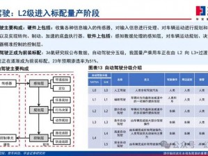 揭秘公司成功秘诀：深度解析996技能攻略及其实际应用价值解析报告