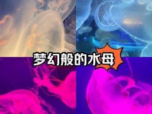 梦幻野生与宝宝成长：探索两者之间的奇妙差距与不同维度之解析