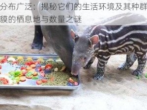 食梦貘分布广泛：揭秘它们的生活环境及其种群数量探秘食梦貘的栖息地与数量之谜