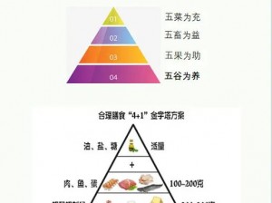 探索膳食史法：三大核心板块解析与实践