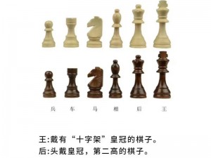 国寄像棋的乐趣与魅力：一款融合智慧与策略的经典棋类游戏简介