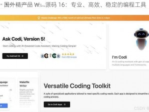 国外精产品 W灬源码 16：专业、高效、稳定的编程工具