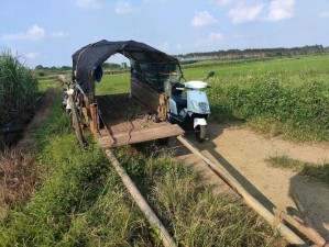 台湾驾牛车免费开放时间：体验台湾乡村风情，感受别样旅游乐趣