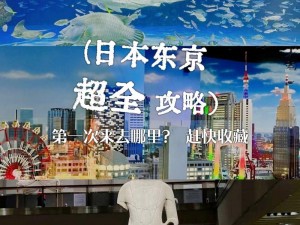 日韩精品免费，带你领略日韩文化的独特魅力