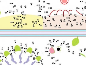 天天爱连线数字连线答案宝典：全面解析与攻略大全