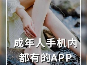 国产成人亚洲精品 91 专区手机，一款带来无尽激情的手机应用