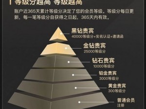 VIP等级制度深度解析：不同等级特权与服务详解