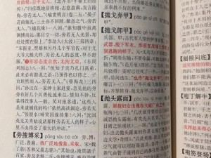 成语招贤记第258关攻略解析：策略智慧与词汇积累三重助力助你轻松过关