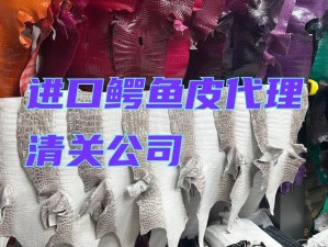 关于光明大陆鳄鱼皮获取的详细指南：鳄鱼皮产地与获取方法解析