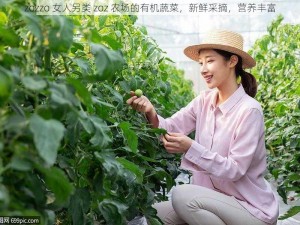 zozzo 女人另类 zoz 农场的有机蔬菜，新鲜采摘，营养丰富