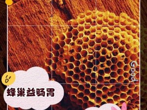 动物之森蜂巢的作用与效益解析：蜂巢如何成为游戏中的宝贵资源？