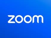 最新 ZOOM 俄罗斯，便捷高效的视频会议软件