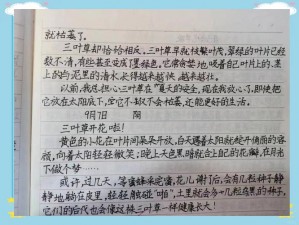 从日本电影三叶草的春天感想中学到的青春成长课：用三叶草装点青春，感悟成长的真谛