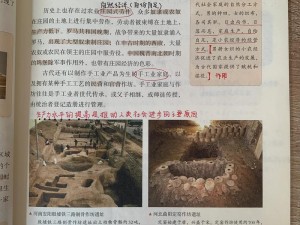 第二银河时代：平民如何选择国家与职业发展路径的探索与解析