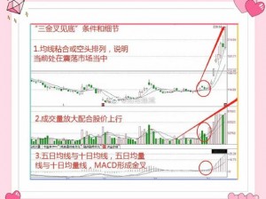 三位金主1V3情况;三位金主 1V3 情况：是一场怎样的激烈竞争？