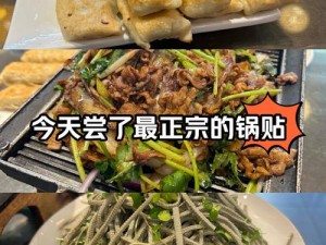 爆炒江湖：大胃王独门绝技揭秘，锅贴烤肉魅力集结美食之旅